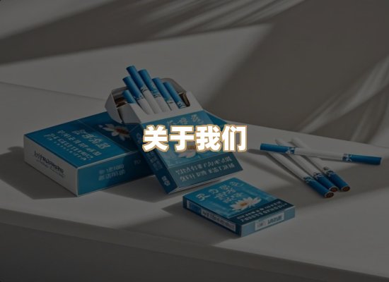 关于蓝帝网